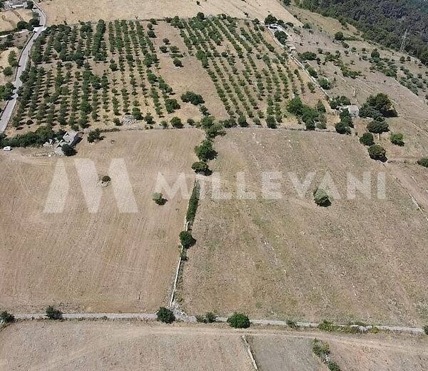 Lots of agricultural land in Ragusa