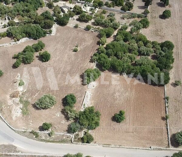 Terreno agricolo a Modica