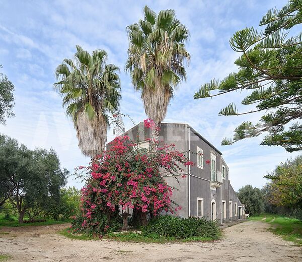 Prestigious Organic Farm in the Syracuse area