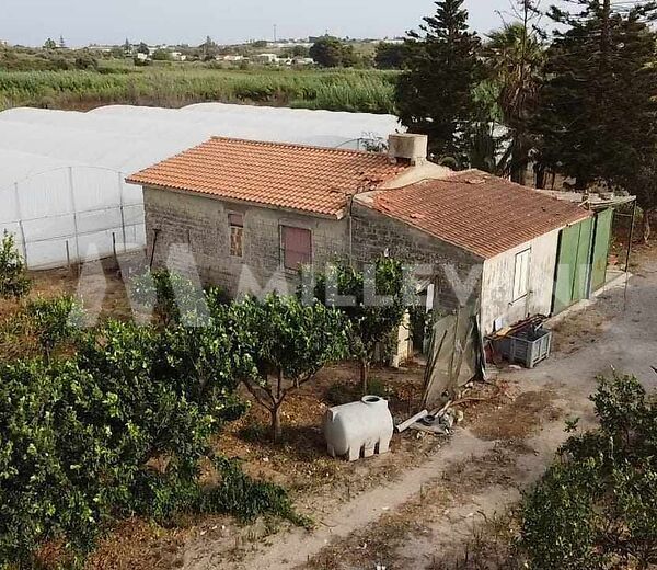 Agricultural annex in Santa Maria del Focallo