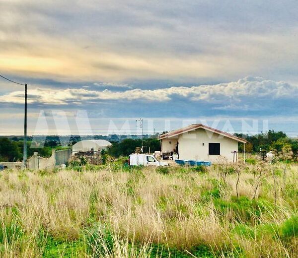 Terreno Agricolo con vista mare